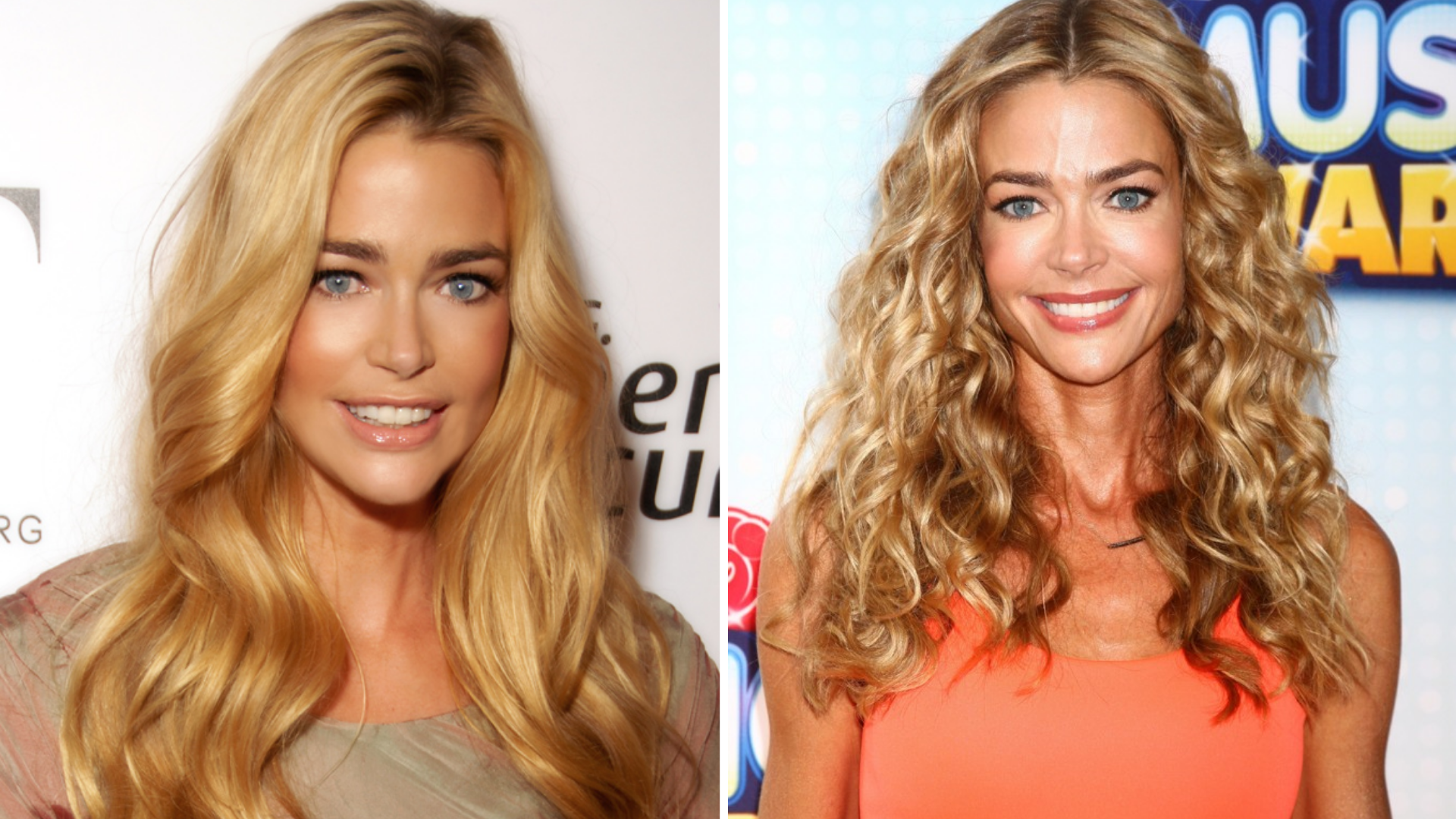 Denise Richards Net Worth