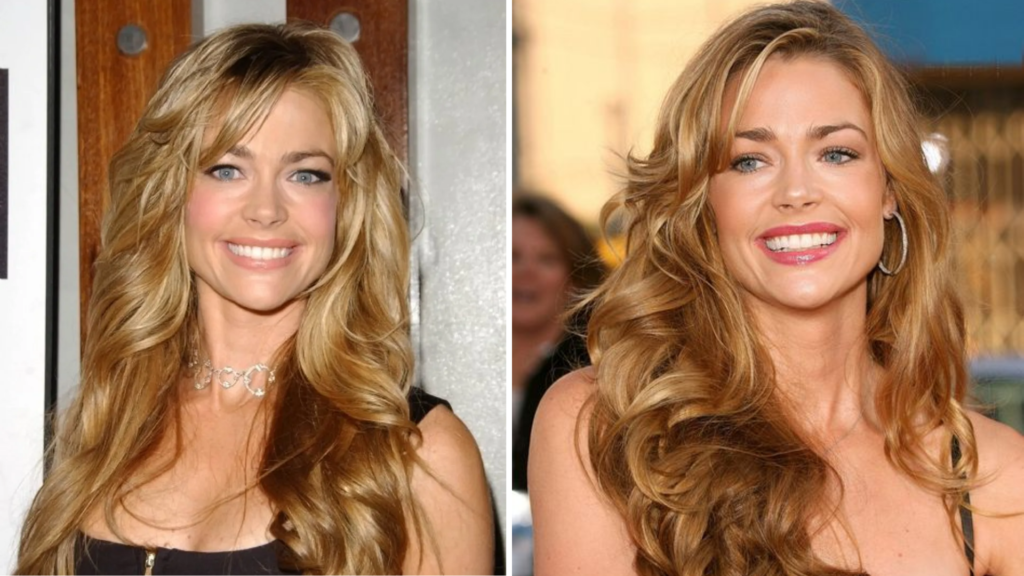  Denise Richards Net Worth